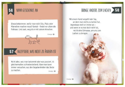 Buchcover und Innenansicht für das Buch: 100 Dinge, die man von einem Hund lernen kann