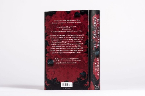 Buchcover und Innenansicht für das Buch: The Shadows Between Us
