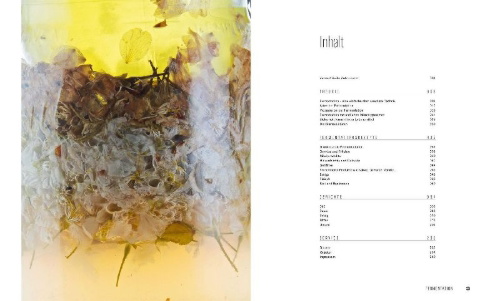 Buchcover und Innenansicht für das Buch: Fermentation