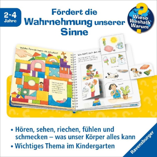 Buchcover und Innenansicht für das Buch: Wieso? Weshalb? Warum? junior, Band 36 - Sehen, riechen, hören