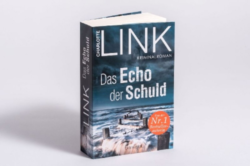 Buchcover und Innenansicht für das Buch: Das Echo der Schuld