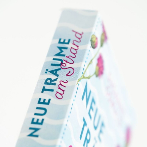Buchcover und Innenansicht für das Buch: Neue Träume am Strand