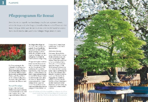 Buchcover und Innenansicht für das Buch: Bonsai ziehen, gestalten und pflegen