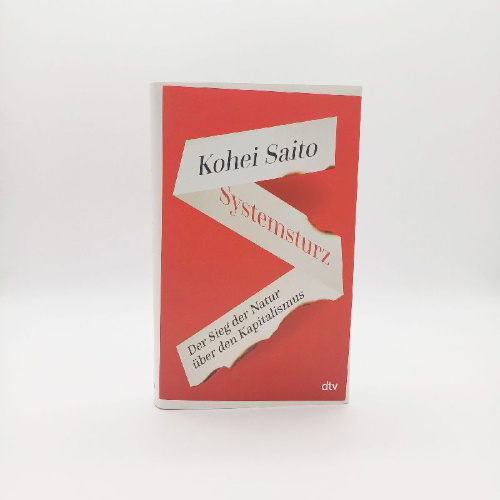 Buchcover und Innenansicht für das Buch: Systemsturz