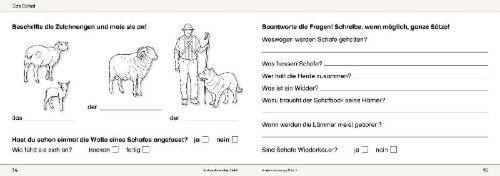 Buchcover und Innenansicht für das Buch: Ich kenne Waldtiere / Haus- und Hoftiere / Insekten und Spinnen. 3 Schülerarbeitshefte im Kombi für die 2. bis 4. Klasse