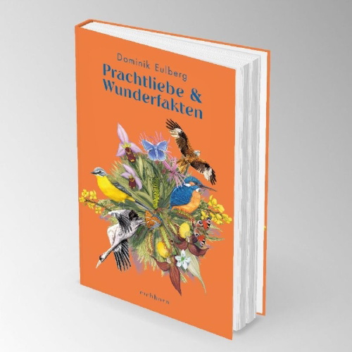 Buchcover und Innenansicht für das Buch: Prachtliebe & Wunderfakten
