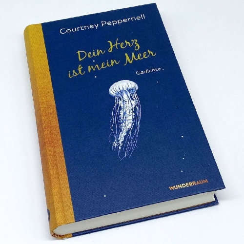 Buchcover und Innenansicht für das Buch: Pillow Thoughts