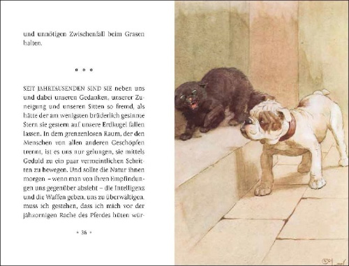 Buchcover und Innenansicht für das Buch: Mein Hund