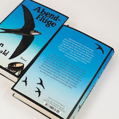 Buchcover und Innenansicht für das Buch: Vesper Flights