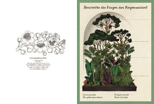 Buchcover und Innenansicht für das Buch: Botanicum Activity Book