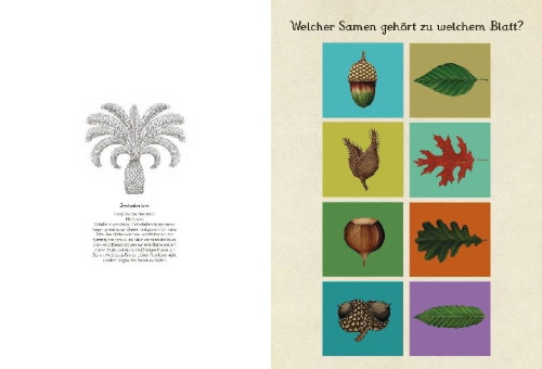 Buchcover und Innenansicht für das Buch: Botanicum Activity Book