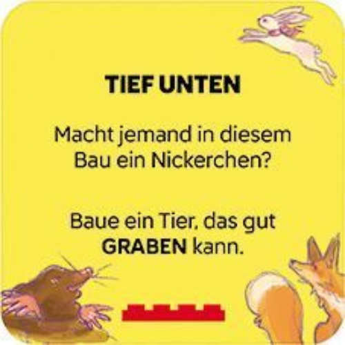 Buchcover und Innenansicht für das Buch: LEGO® - Rebuild Karten - Tiere