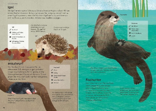 Buchcover und Innenansicht für das Buch: Nature Guide: Birds / Nature Guide: Wildlife