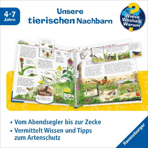 Buchcover und Innenansicht für das Buch: Wieso? Weshalb? Warum?, Band 71: Wir entdecken heimische Tiere