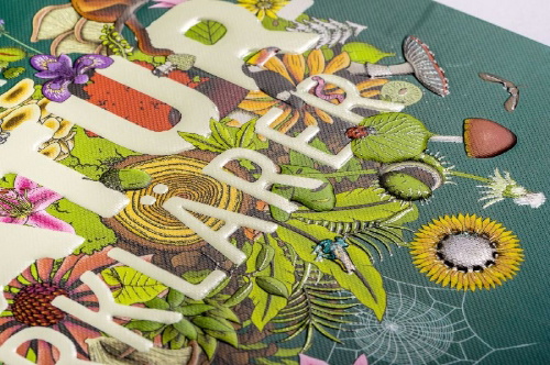 Buchcover und Innenansicht für das Buch: Nature Explainer