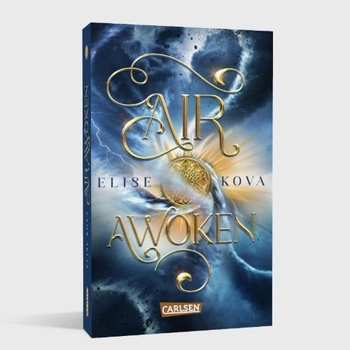 Buchcover und Innenansicht für das Buch: Air Awakens